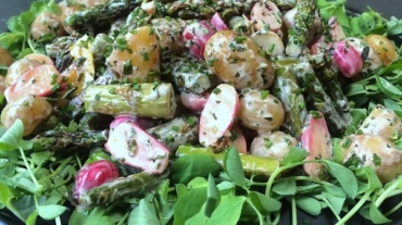 asparagus-radish