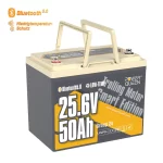 powerqueen-24v50Ah-1